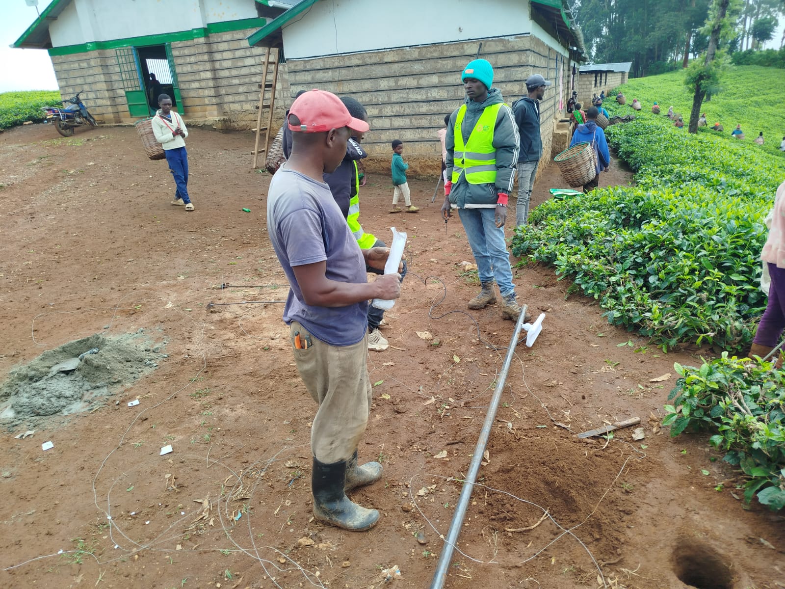AthiCN community technicians installing wireless infrastructure in a rural tea-growing area