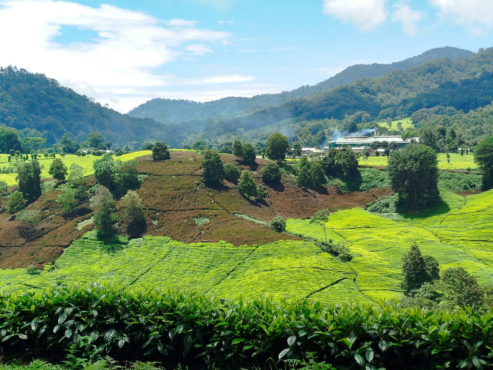 Rural landscape in Meru County